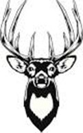 drawing of a male deer with large antlers